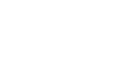 VetWise